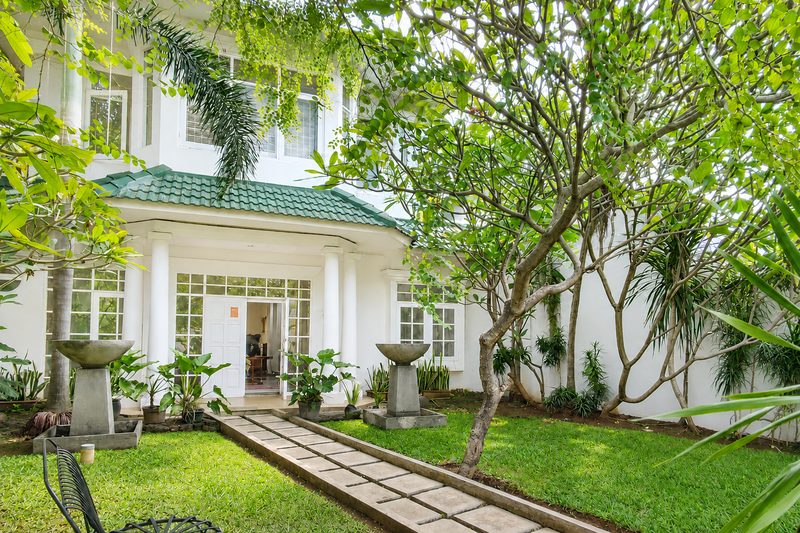 Tropical Garden